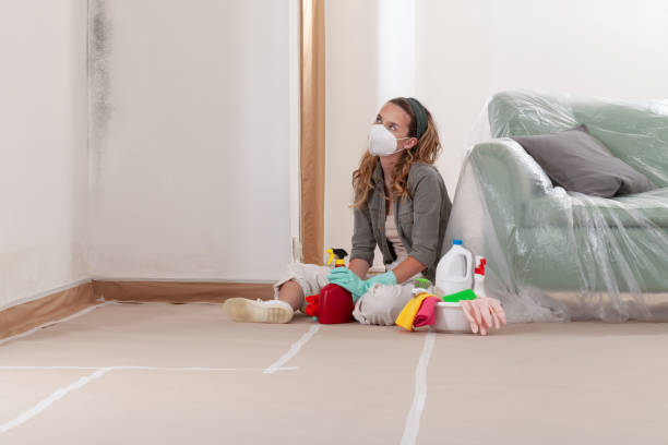 Reliable Commercial Mold Remediation contractor in Cocolamus, PA by WQB Mold Removal